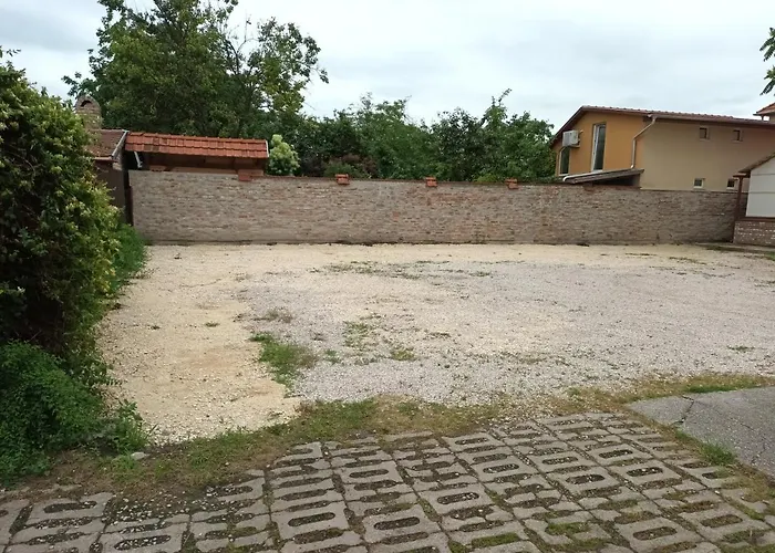 Pilota Panzio